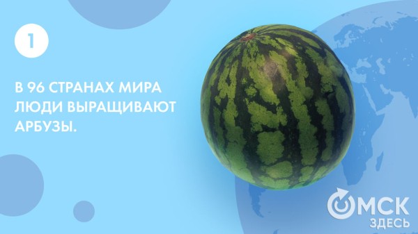 Пятьсот граммов священной ягоды в день - отмечаем День арбуза Пятьсот граммов священной ягоды в день - отмечаем День арбуза
