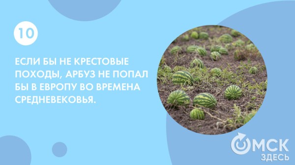 Пятьсот граммов священной ягоды в день - отмечаем День арбуза Пятьсот граммов священной ягоды в день - отмечаем День арбуза