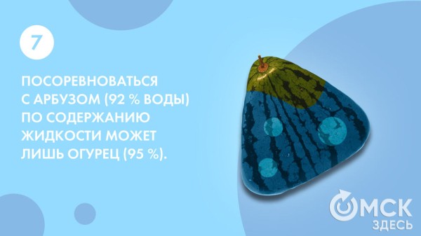 Пятьсот граммов священной ягоды в день - отмечаем День арбуза Пятьсот граммов священной ягоды в день - отмечаем День арбуза