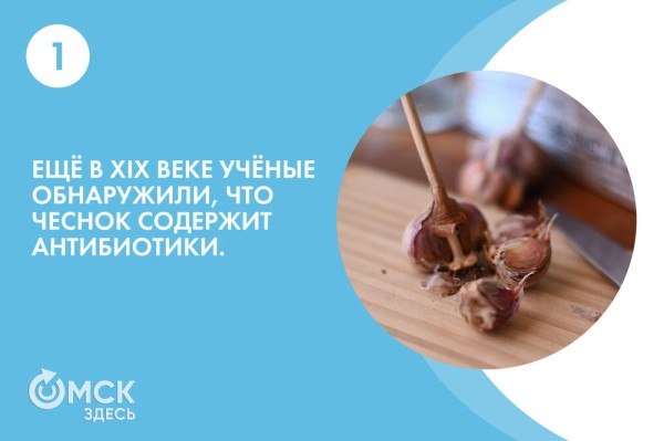 По чесноку: вся правда о противоречивом продукте По чесноку: вся правда о противоречивом продукте