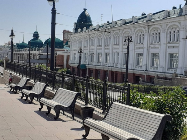 
									Битва за деревья: почему омичи массово становятся «друидами»? 