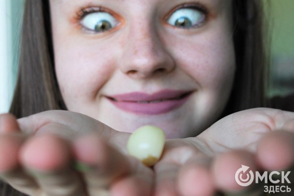 По чесноку: вся правда о противоречивом продукте По чесноку: вся правда о противоречивом продукте