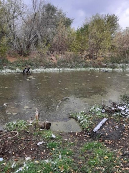 Макар Телятин: «Откуда в Омске на «Хитром» рынке в продаже военторговские пайки?»