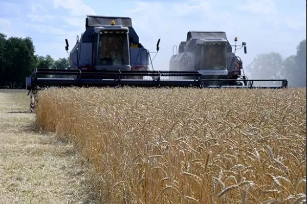 В Омской области собирают худший урожай зерна за 10 лет
В Омской области собирают худший урожай зерна за 10 лет