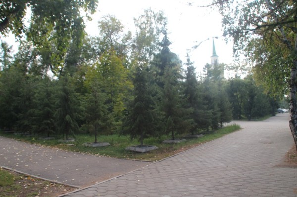 
									Битва за деревья: почему омичи массово становятся «друидами»? 