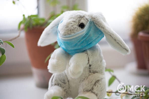 Бич 21 века: топ-5 видов аллергии, от которых страдают омичи Бич 21 века: топ-5 видов аллергии, от которых страдают омичи