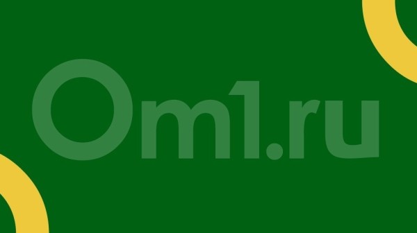 Нарубили на 21 млн рублей: четверых мужчин осудили за уничтожение леса в Новосибирской области