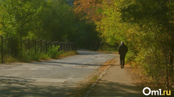 Омские дожди, туманы и остатки тепла: узнайте, нужно ли надевать шапку в эти выходные