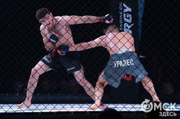 Александр Шлеменко не сумел победить в родном городе Александр Шлеменко не сумел победить в родном городе