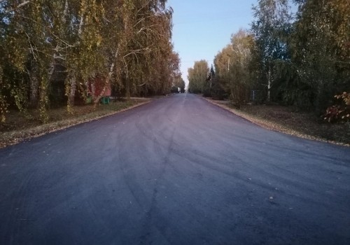 Уголовное дело о дороге к особняку главы Калачинска Мецлера пытаются развалить?