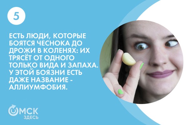 По чесноку: вся правда о противоречивом продукте По чесноку: вся правда о противоречивом продукте