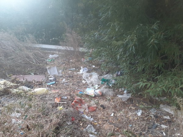 
									«Могу помочь в уборке, но возникает обида»: почему Омск снова уходит в зиму неопрятным? 