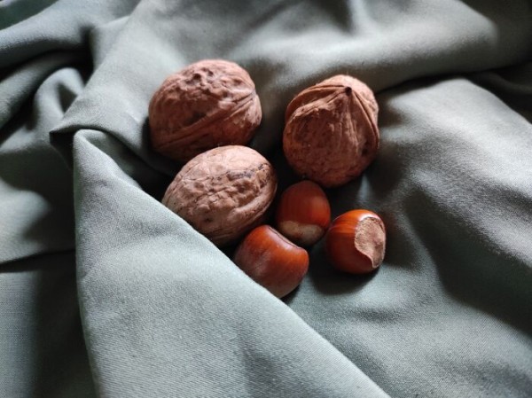 Какой орех лучше съесть? Рассказывает нутрициолог