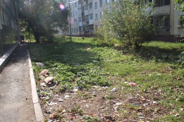 
									«Могу помочь в уборке, но возникает обида»: почему Омск снова уходит в зиму неопрятным? 