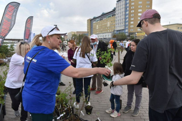 
									Битва за деревья: почему омичи массово становятся «друидами»? 