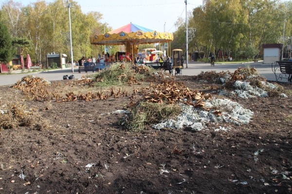 
									«Могу помочь в уборке, но возникает обида»: почему Омск снова уходит в зиму неопрятным? 