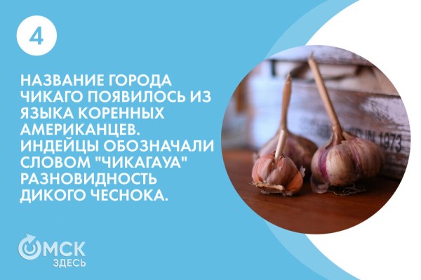 По чесноку: вся правда о противоречивом продукте По чесноку: вся правда о противоречивом продукте