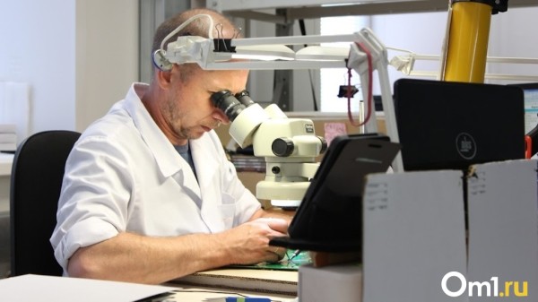 Научные институты новосибирского Академгородка добиваются отсрочки от мобилизации для сотрудников