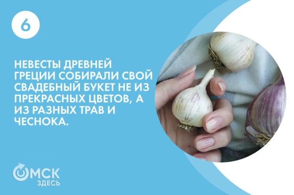 По чесноку: вся правда о противоречивом продукте По чесноку: вся правда о противоречивом продукте