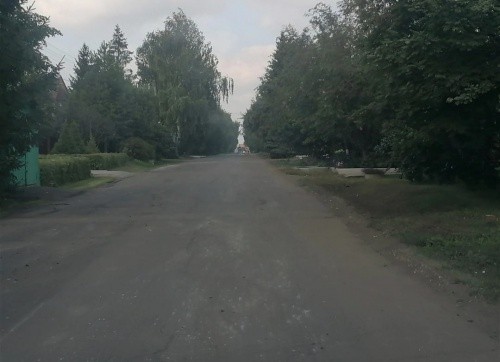 Уголовное дело о дороге к особняку главы Калачинска Мецлера пытаются развалить?