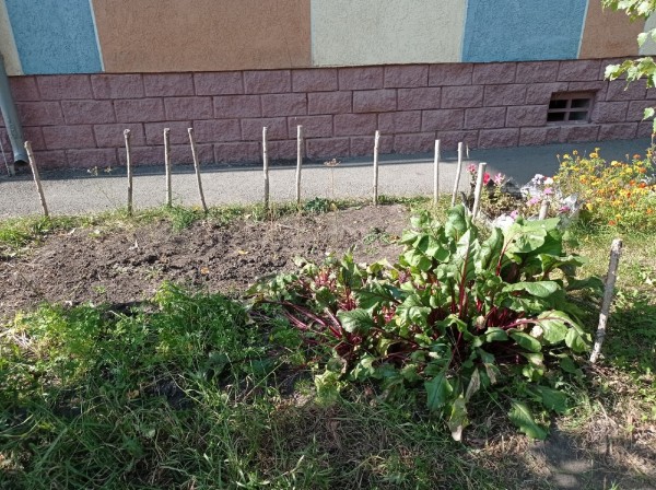 
									Жизнь в омских новостройках: Рябиновка – микрорайон, где взрываются самогонные аппараты   [ФОТО]  