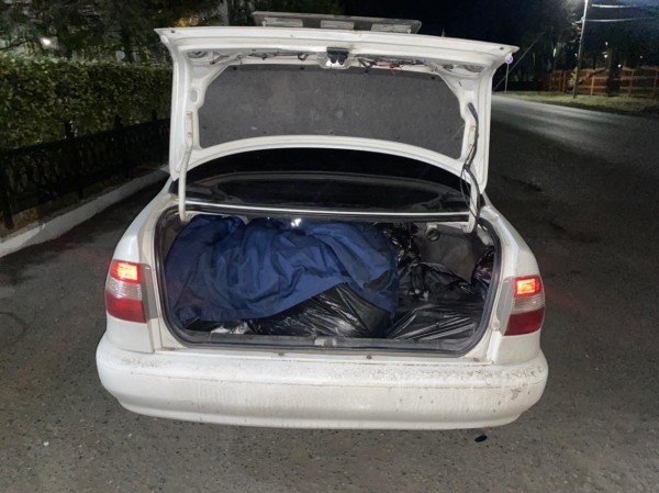 
									Житель Омской области отстреливал косуль и продавал туши   [ФОТО]  