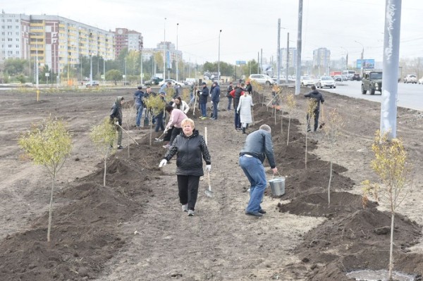 
									«Могу помочь в уборке, но возникает обида»: почему Омск снова уходит в зиму неопрятным? 