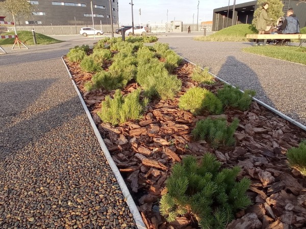 
									«Парк европейского уровня»: что сделали у «G-Drive Арены» за миллиард?   [ФОТО]  