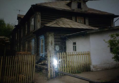 У омских потомков знаменитых заводчиков Демидовых изъяли построенный своими руками дом