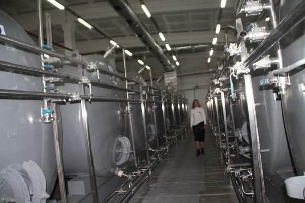 
									Виски made in Omsk не успеют сделать к Новому году   [ФОТО]  