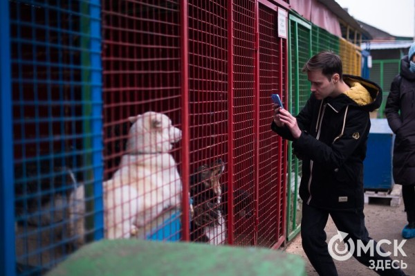 "Омские хвостики" попадут в fashion-календарь "Омские хвостики" попадут в fashion-календарь