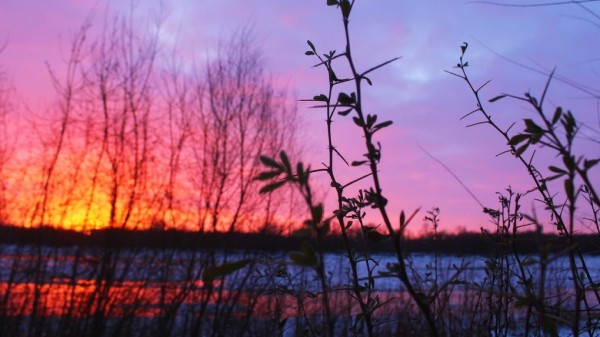 Стало известно, когда в Омске потеплеет до -1 градуса