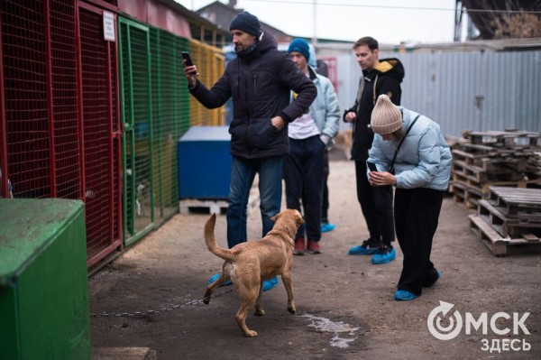 "Омские хвостики" попадут в fashion-календарь "Омские хвостики" попадут в fashion-календарь