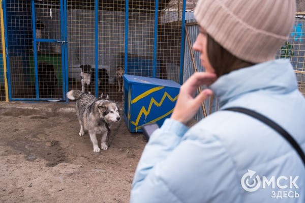"Омские хвостики" попадут в fashion-календарь "Омские хвостики" попадут в fashion-календарь