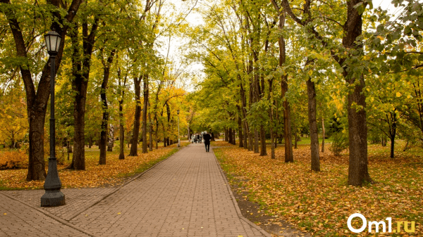 Аномальное потепление после заморозков прогнозируют в Новосибирске