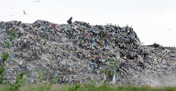 На ликвидацию двух свалок в Омске направят 6 млрд
На ликвидацию двух свалок в Омске направят 6 млрд