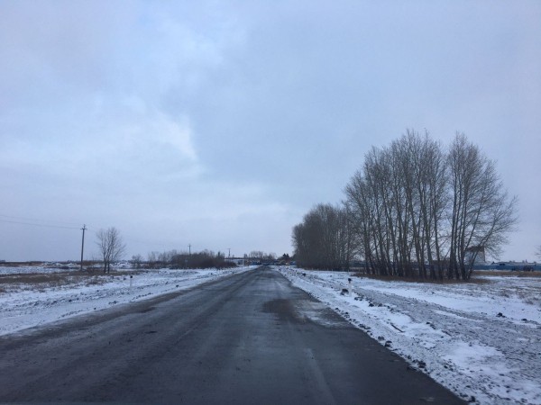 
									В Омской области построили 17 км дорог к фермам   [ФОТО]  