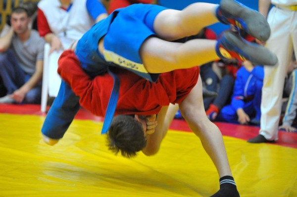 
									Для омских детей проведут Фестиваль единоборств   [0+]  