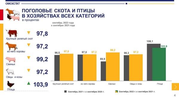 
									Молока в Омской области производят все меньше   [ИНФОГРАФИКА]  