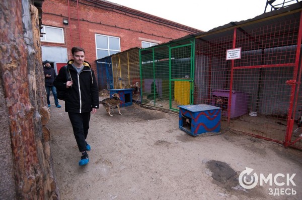 "Омские хвостики" попадут в fashion-календарь "Омские хвостики" попадут в fashion-календарь