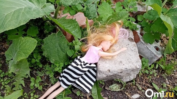 В Омске педофила отправили в колонию за изнасилование ребёнка своей жены