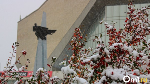 На Омскую область надвигается арктический циклон с температурой до -30