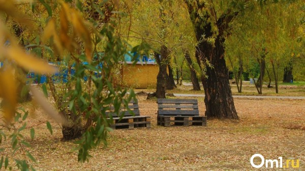 Штормовой ветер и ливень: первая неделя ноября заставит омичей тосковать по зиме