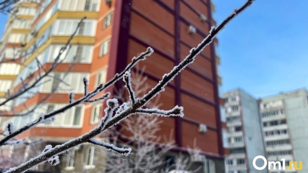 Как крещенские: воздух с Арктики несёт в Омскую область морозы до -32