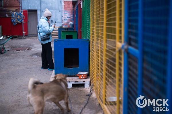 "Омские хвостики" попадут в fashion-календарь "Омские хвостики" попадут в fashion-календарь