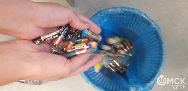 Экологичный офис: как омские компании сокращают вред природе Экологичный офис: как омские компании сокращают вред природе