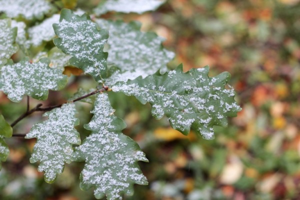 Погода в Омской области резко ухудшится  
									Погода в Омской области резко ухудшится