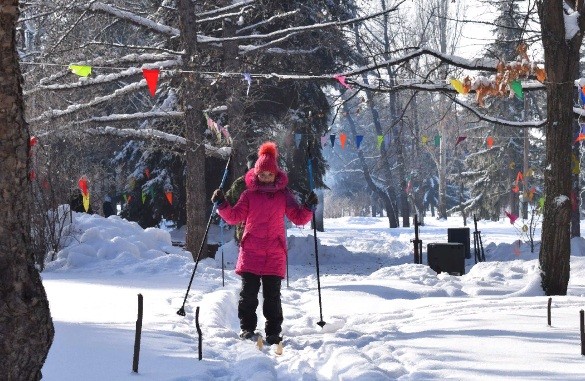 Омичи предпочитают сноуборд лыжам
Омичи предпочитают сноуборд лыжам
