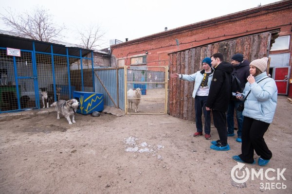 "Омские хвостики" попадут в fashion-календарь "Омские хвостики" попадут в fashion-календарь