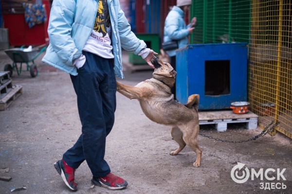 "Омские хвостики" попадут в fashion-календарь "Омские хвостики" попадут в fashion-календарь